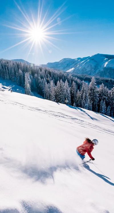 Ski amadé & Obertauern